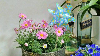 2019030719470000.jpg