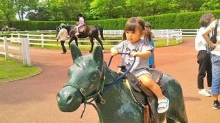 2019050509570001.jpg