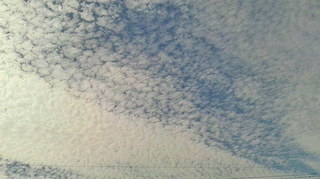 2019092510100000.jpg