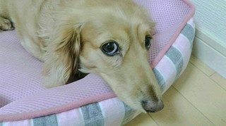 2019092707100000.jpg