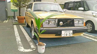 2019100316460000.jpg