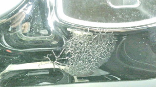 2020020113520001.jpg