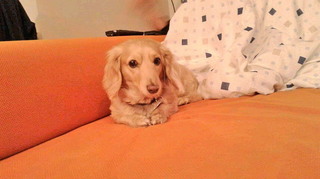 2020020120100001.jpg