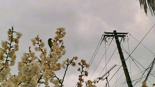2020031408140003.jpg