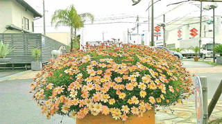 2020042008090000.jpg