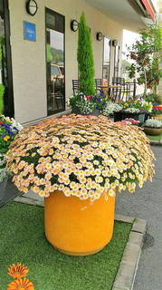 2020050211480000.jpg