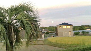 2020050805310000.jpg