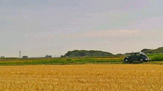 2020051414450002.jpg