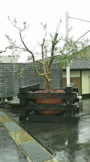 2020051610220000.jpg