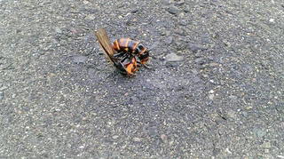 2020052317450000.jpg