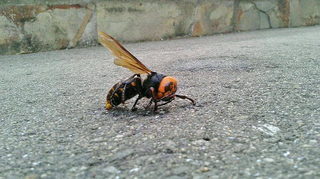 2020052317540001.jpg