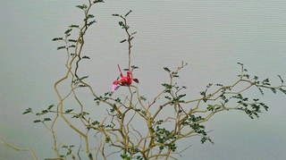 2020061309550003.jpg