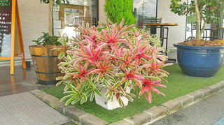 2020070209300001.jpg
