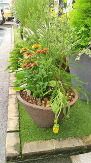 2020070907580001.jpg