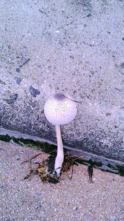2020071114530000.jpg