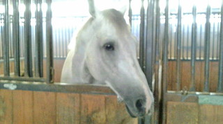 2020071410550002.jpg