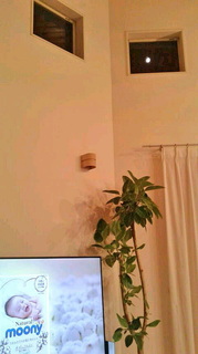 2020080223030001.jpg