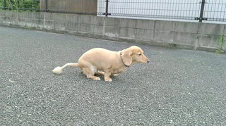 2020080406000000.jpg