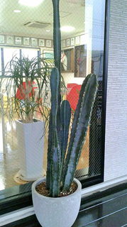 2020082808170000.jpg