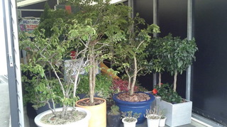 2020090113300000.jpg