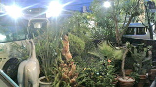 2020090518560002.jpg