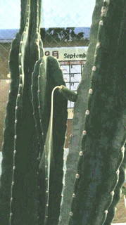 2020090718420000.jpg
