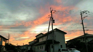 2020091405500000.jpg