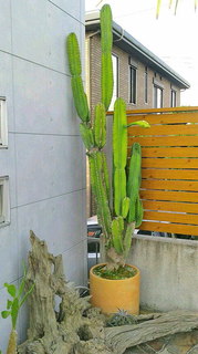 2020092708030000.jpg