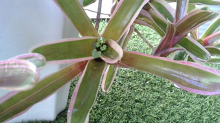 2020101108040000.jpg