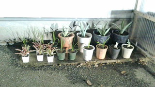 2020101318470000.jpg