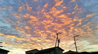 2020102106200000.jpg