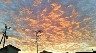 2020102106200001.jpg