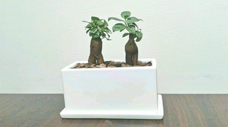 2020103118510000.jpg
