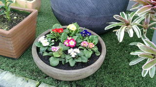 2020111809080001.jpg
