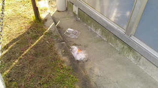 2020111810230000.jpg