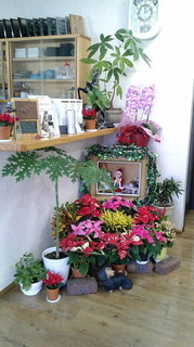 2020112512090000.jpg