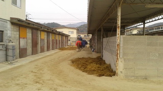 2020121309220000.jpg