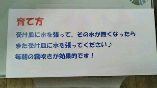 2020122520090000.jpg