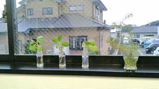 2020122916470000.jpg