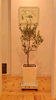 2020123117030001.jpg