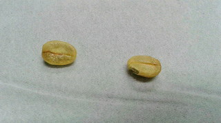 2021012020360000.jpg