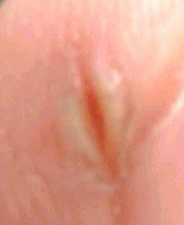 2021013119410000.jpg