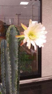 DCIM0388.jpg