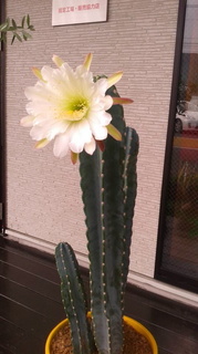 DCIM0390.jpg